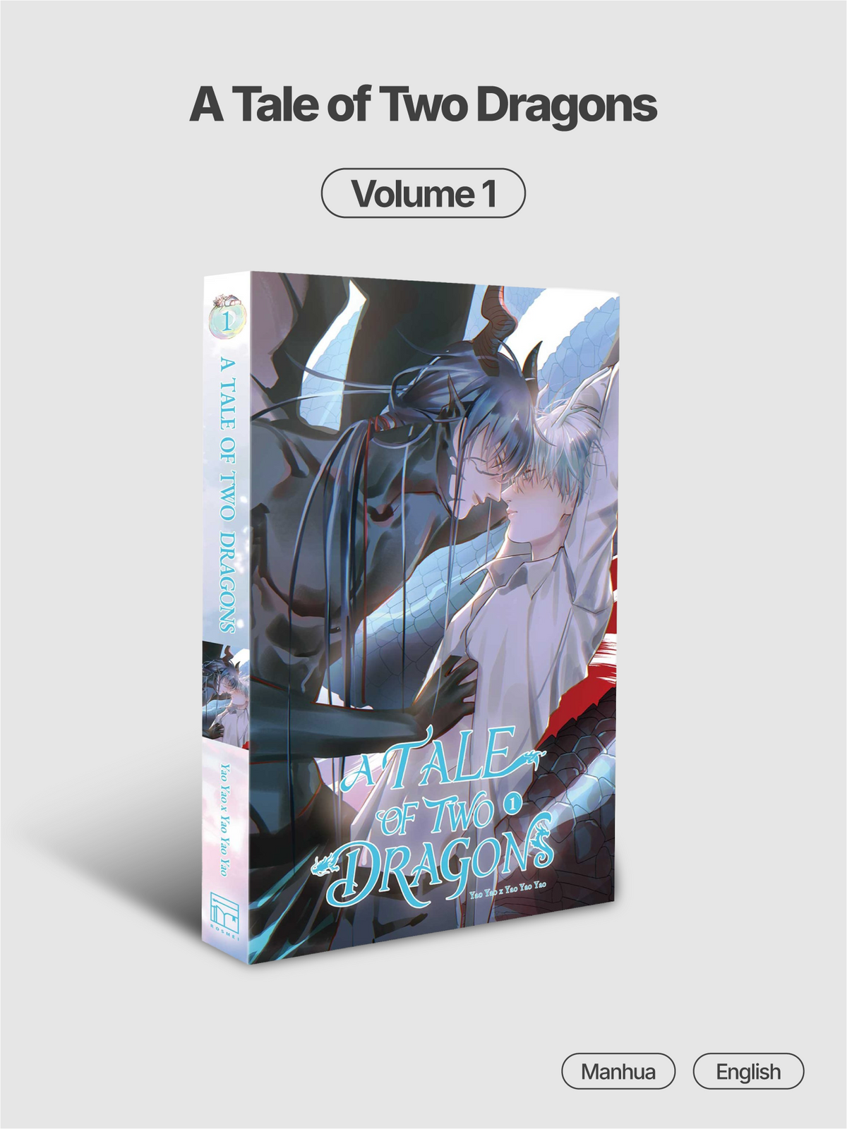 A Tale of Two Dragons (Manhua)