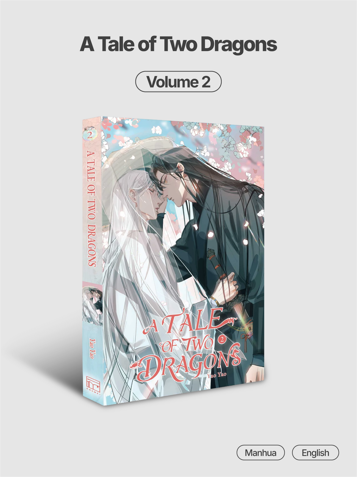 A Tale of Two Dragons (Manhua)